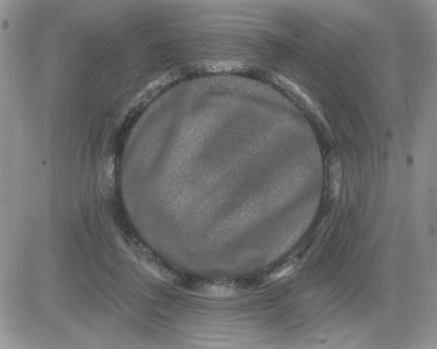 X0000081440308200701261854