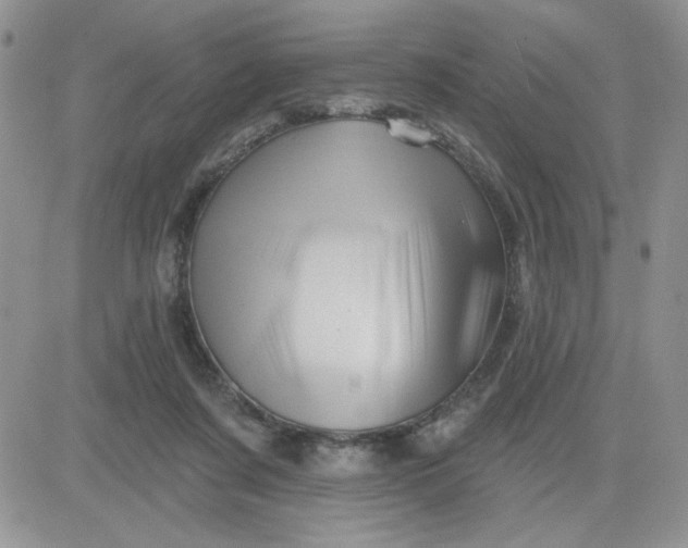 X0000081440311200701261854