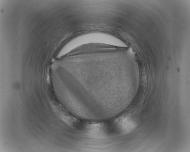 X0000081440312200701261854