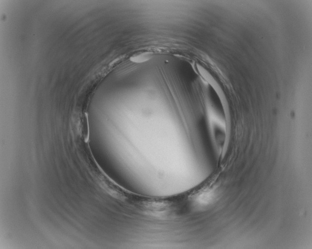 X0000081440313200701261854