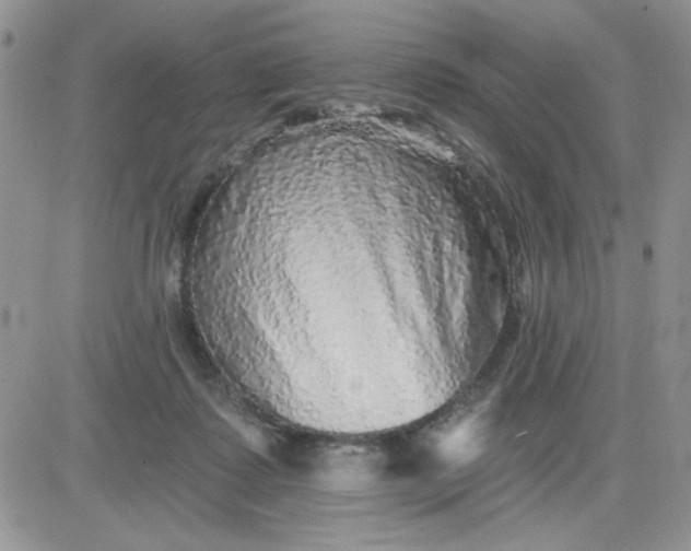 X0000081440315200701261854