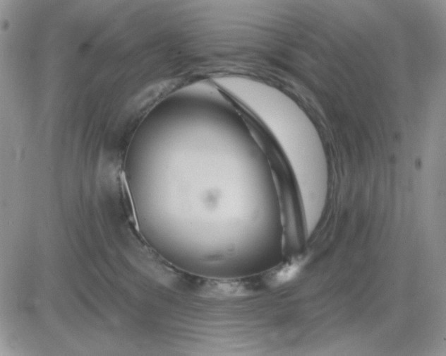 X0000081440329200701261854