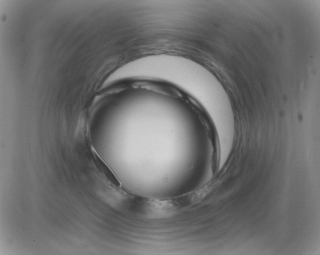 X0000081440333200701261854