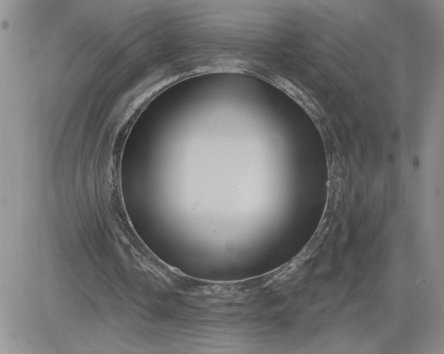 X0000081440338200701261853