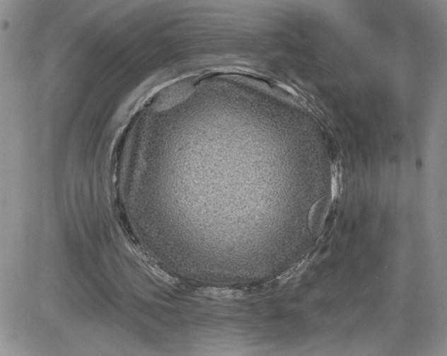 X0000081440339200701261853
