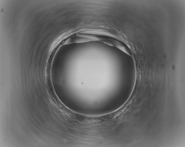 X0000081440340200701261853