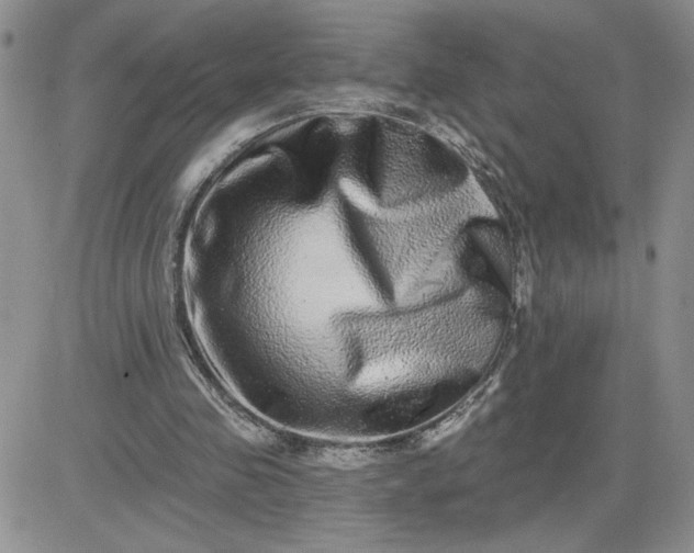 X0000081440341200701261853