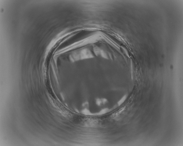 X0000081440343200701261853