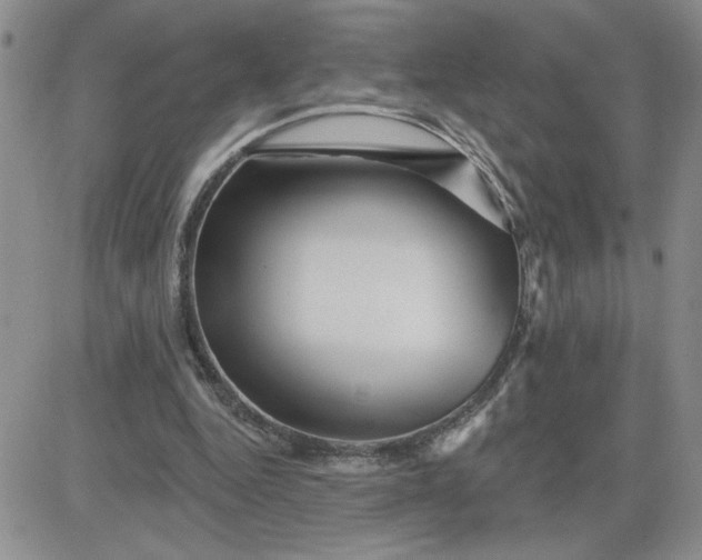 X0000081440344200701261853