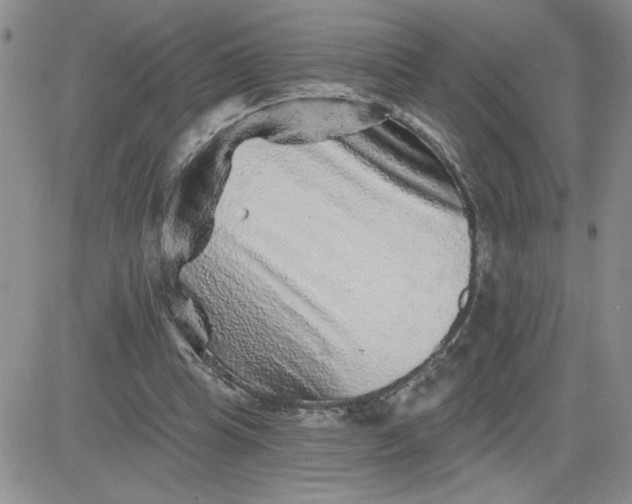 X0000081440345200701261853