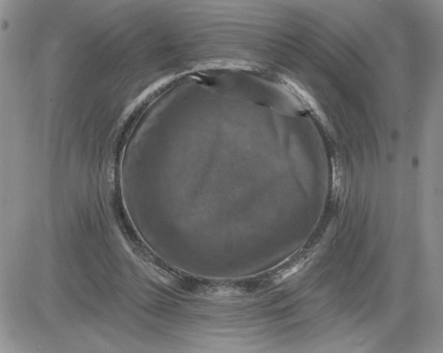 X0000081440348200701261853