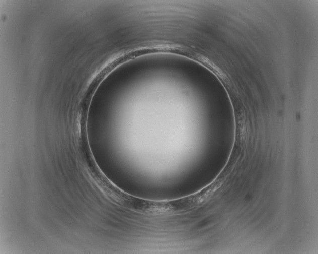 X0000081440350200701261853