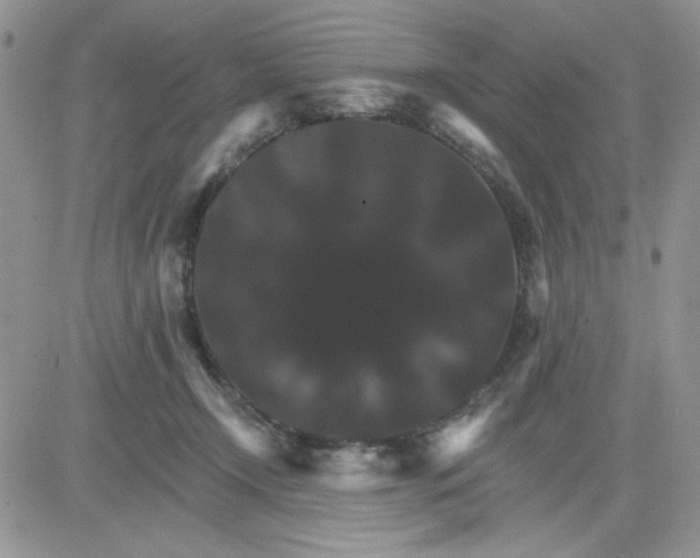 X0000081440366200701261853