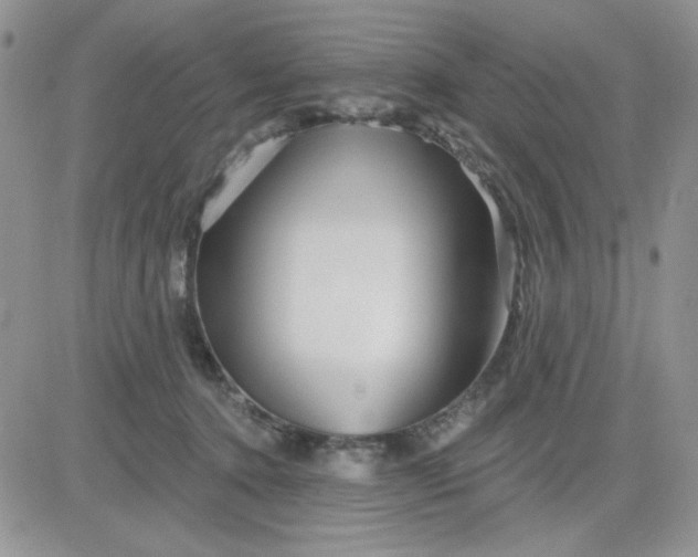 X0000081440368200701261853