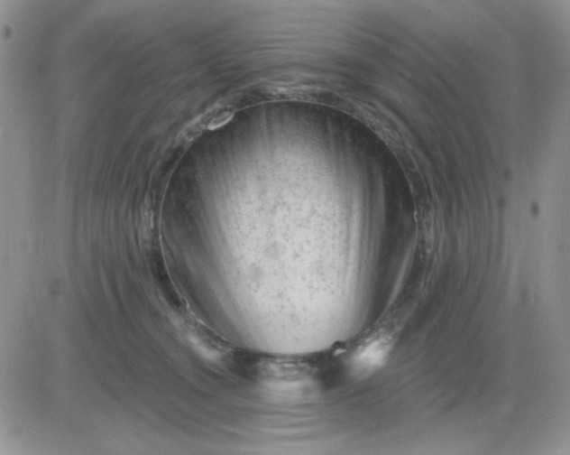 X0000081440372200701261853