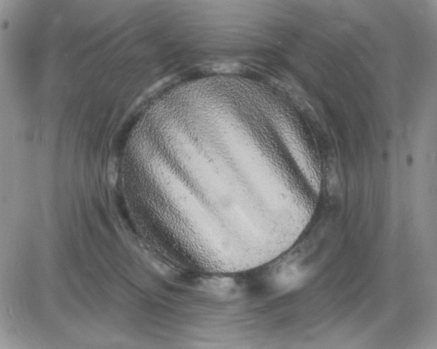 X0000081440374200701261854