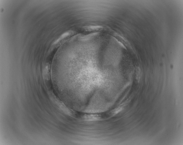 X0000081440378200701261854