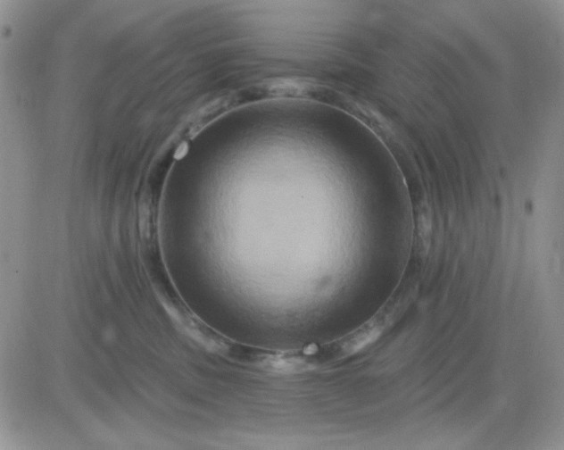 X0000081440379200701261854