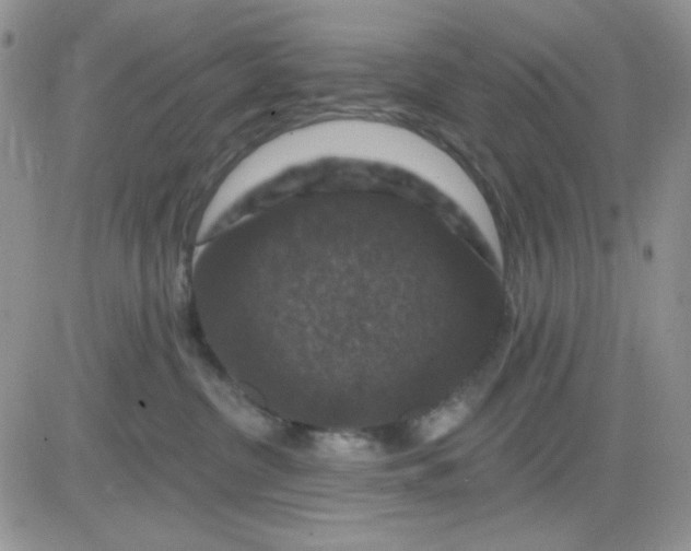 X0000081440380200701261854