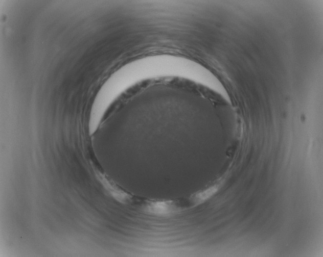 X0000081440382200701261854