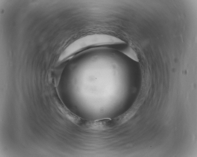 X0000081440384200701261854