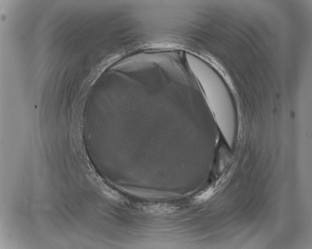 X0000081440385200701261853