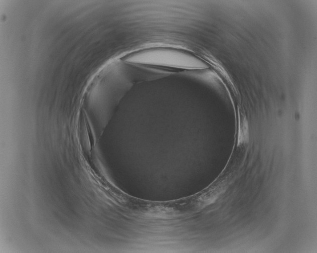 X0000081440387200701261853