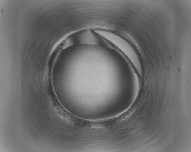 X0000081440388200701261853