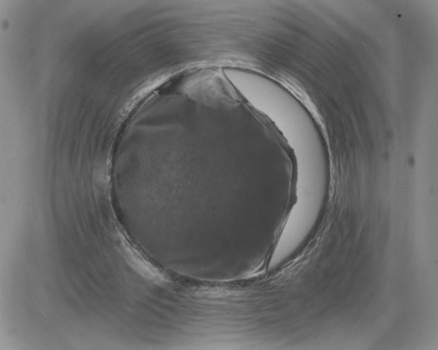 X0000081440389200701261853