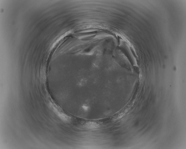 X0000081440390200701261853