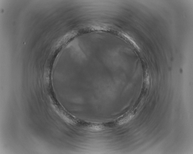 X0000081440402200701261853