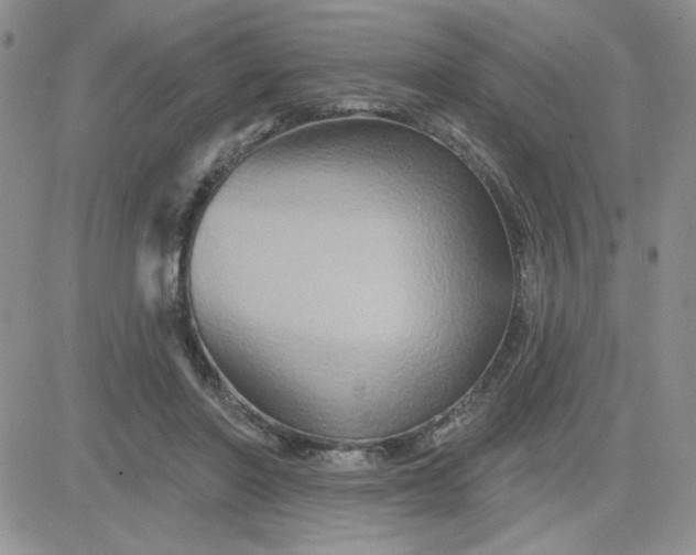 X0000081440406200701261853