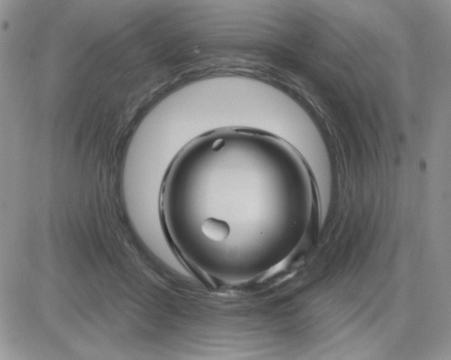 X0000081440411200701261852