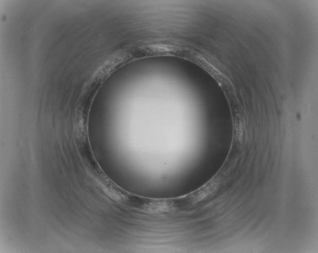 X0000081440418200701261852