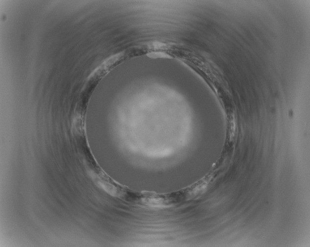 X0000081440419200701261852