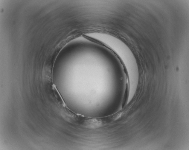 X0000081440421200701261852