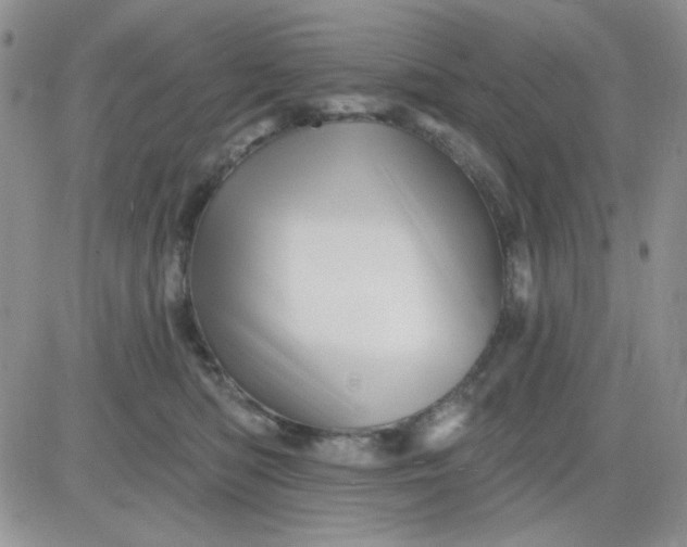 X0000081440422200701261852