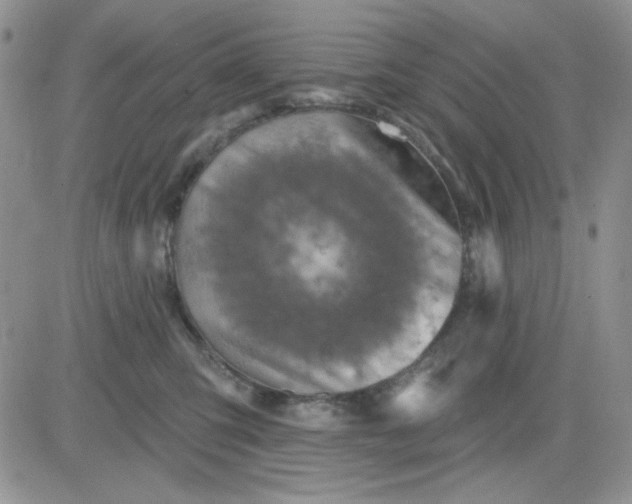 X0000081440423200701261852