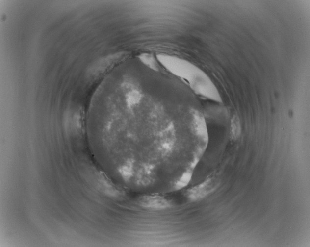 X0000081440424200701261852