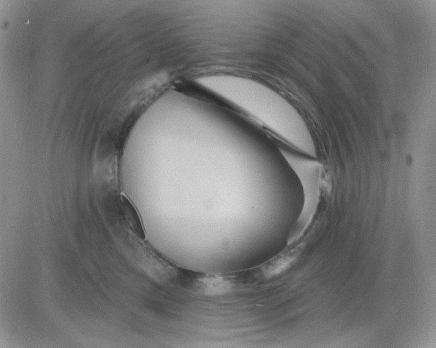 X0000081440425200701261852