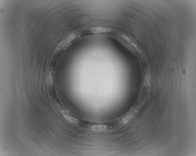X0000081440426200701261852