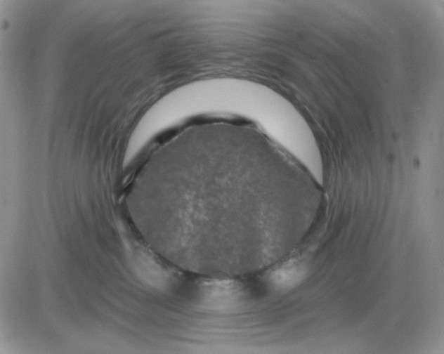 X0000081440428200701261852