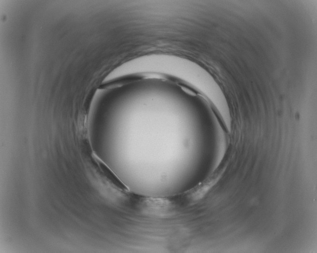 X0000081440429200701261852