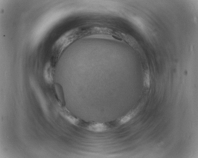 X0000081440431200701261852
