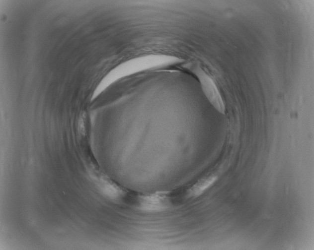 X0000081440432200701261852