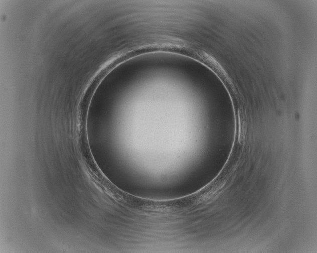 X0000081440435200701261851
