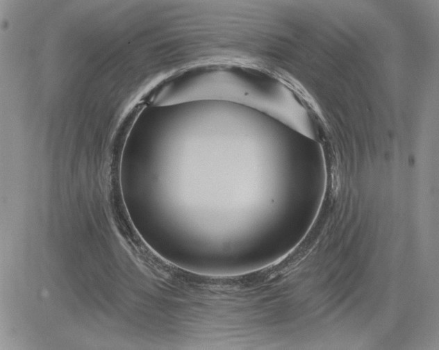 X0000081440436200701261851
