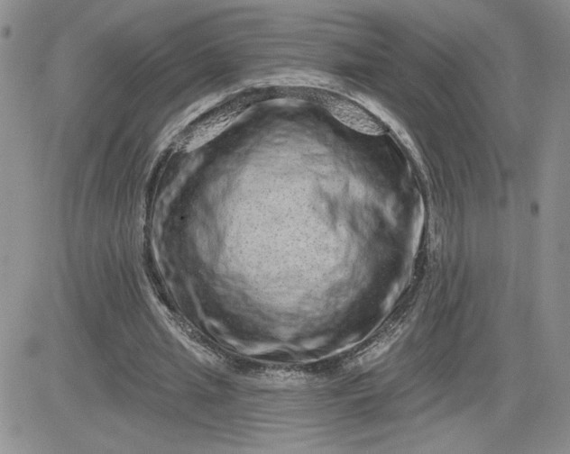 X0000081440437200701261851