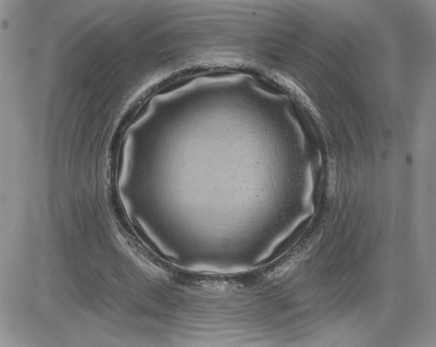 X0000081440439200701261851