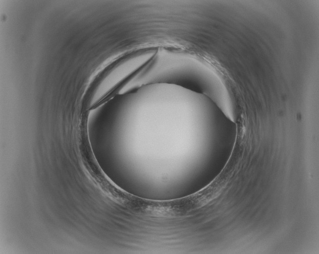 X0000081440440200701261851